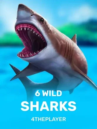 6 Wild Sharks